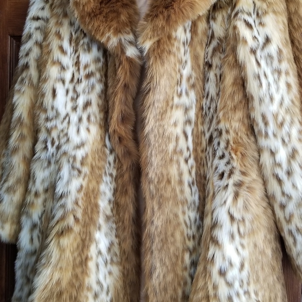 Cheetah